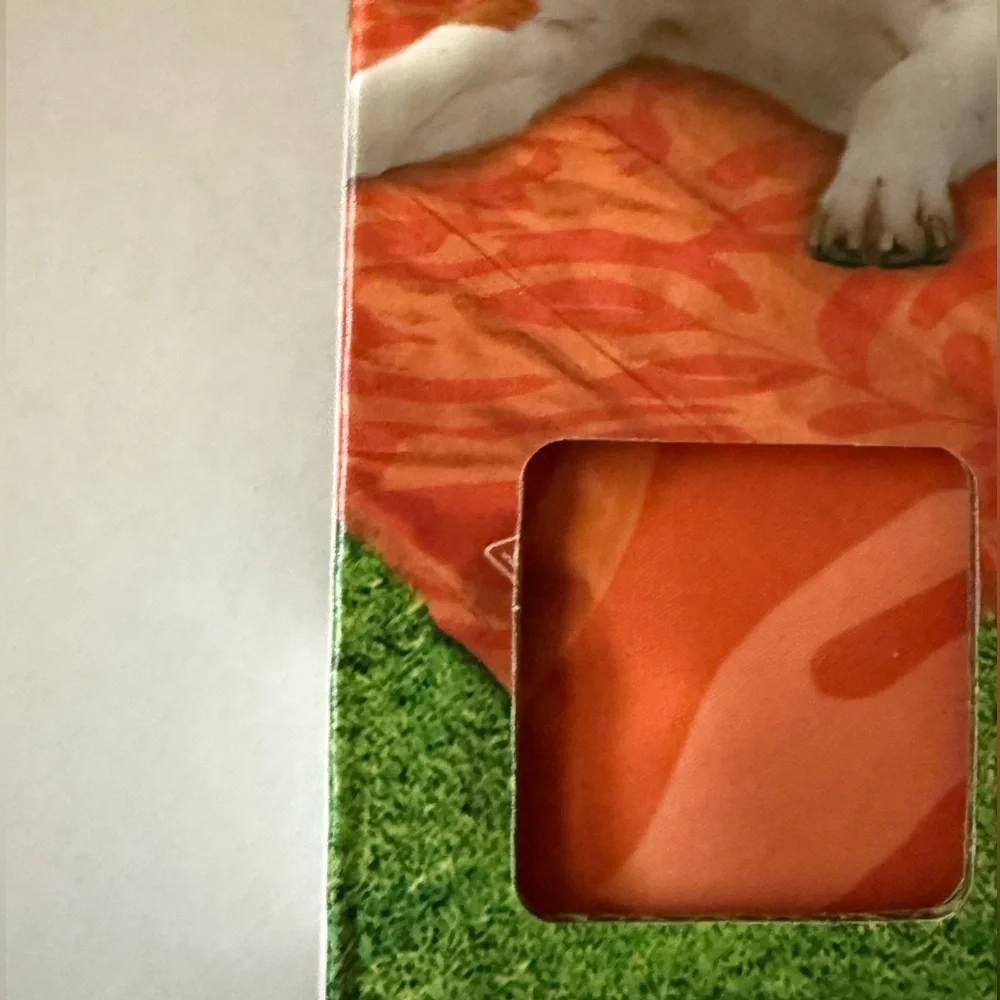Coleman Orange Dog Bedding Blanket